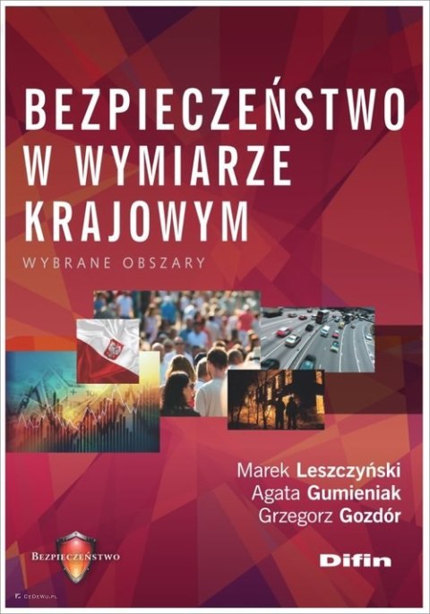 Bezpieczeństwo w wymiarze krajowym. Wybrane obszary