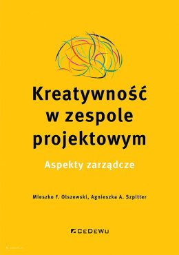 Kreatywność w zespole projektowym. Aspekty zarządcze