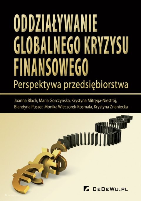 Oddziaływanie globalnego kryzysu finansowego. Perspektywa przedsiębiorstwa