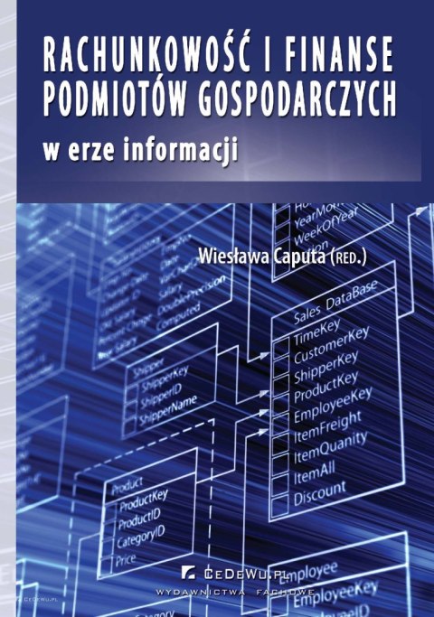 Rachunkowość i finanse podmiotów gospodarczych w erze informacji