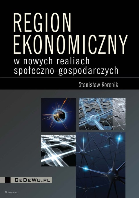 Region ekonomiczny w nowych realiach społeczno-gospodarczych