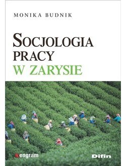 Socjologia pracy w zarysie