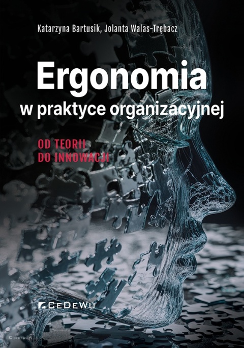 Ergonomia w praktyce organizacyjnej. Od teorii do innowacji